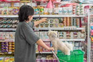 Are Dogs Allowed In Walmart 2022? (Most Complete Answer)